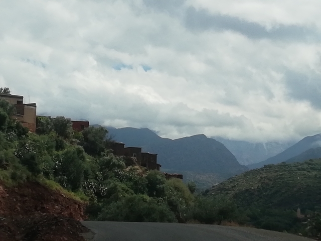 Landscape view with distant mountains and scattered trees.