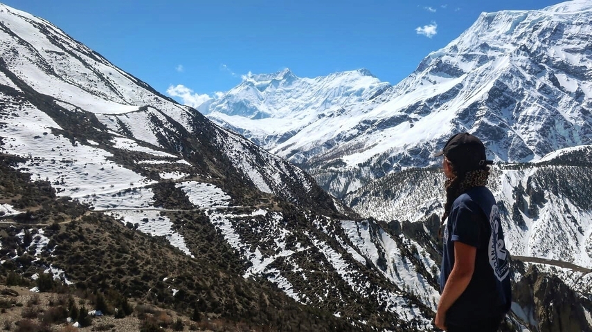       Person admiring snow-covered mountains.
  