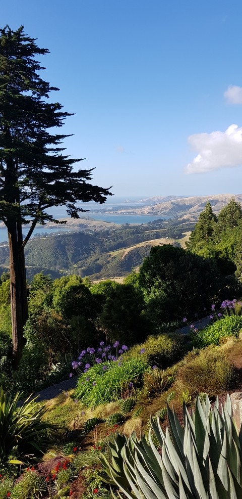       Scenic view of lush green hills and coastal waters.
  