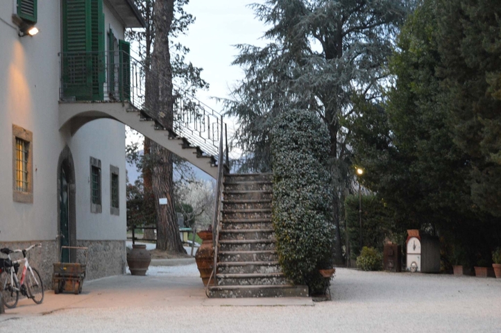 Rustic garden entrance with stairs and trees