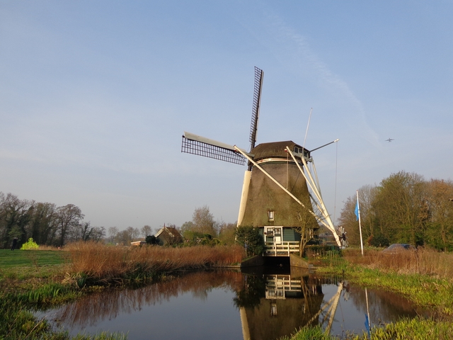 Traditional Dutch windmill in a tranquil countryside setting.