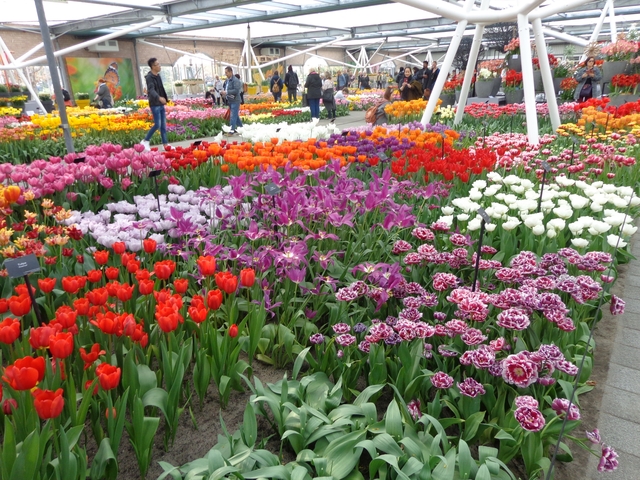 Vibrant flower display with a variety of tulips and people walking.