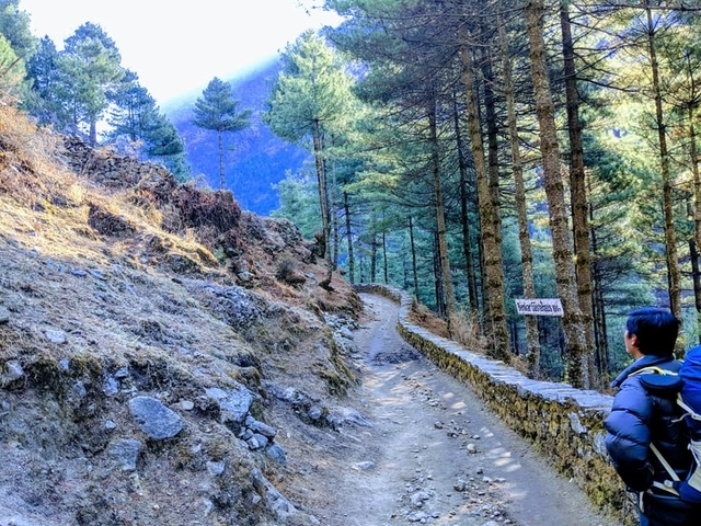 Everest View Trek customer review photo 