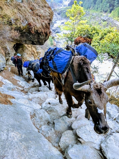 Everest View Trek customer review photo 