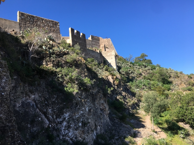       Ruins of an ancient structure on a hillside with greenery.
  