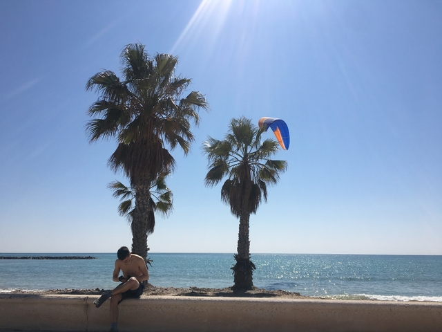 Palm trees by a beach with a person and a kite overhead.