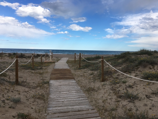       Wooden boardwalk leading to a sandy beach with the ocean.
  