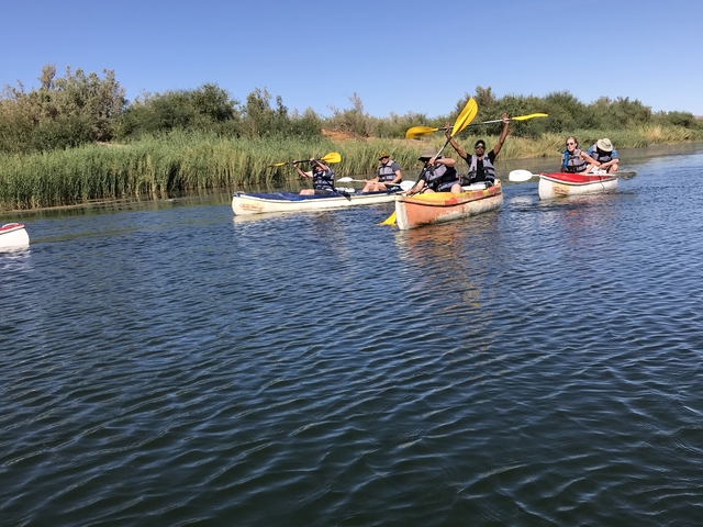       Group of people kayaking on a river.
  