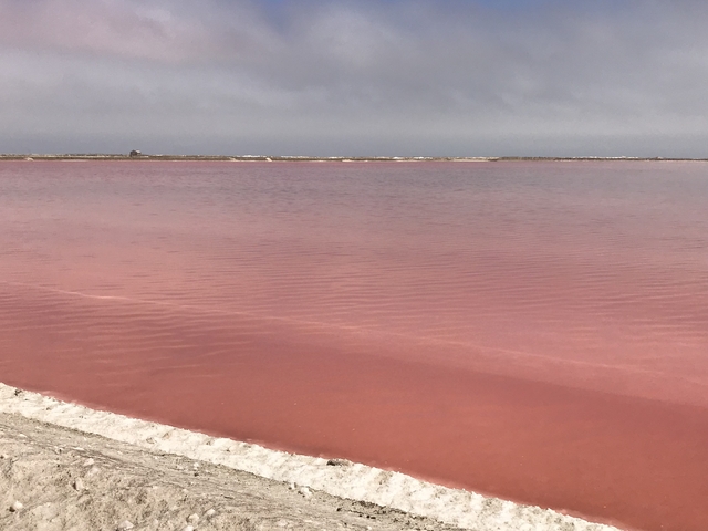       A pink lake with a distant shoreline.
  
