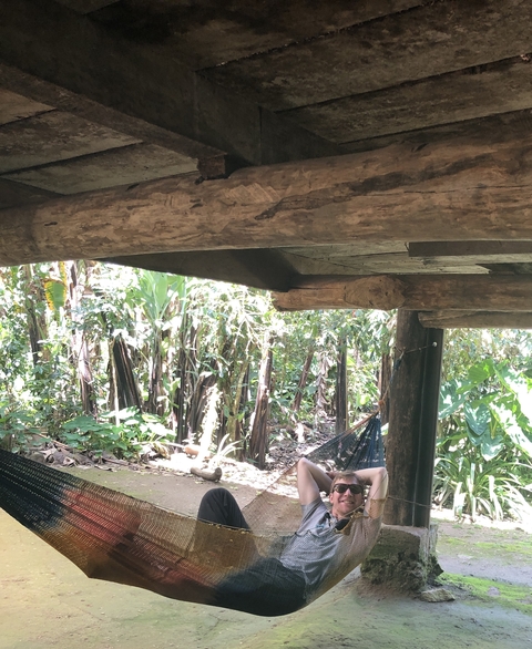 Jungle view from under a wooden structure.
