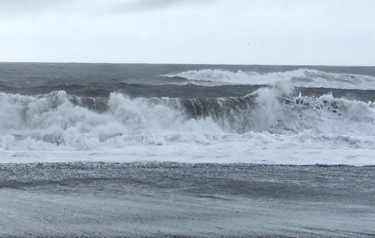       Waves crashing onto the shore, overcast sky.
  