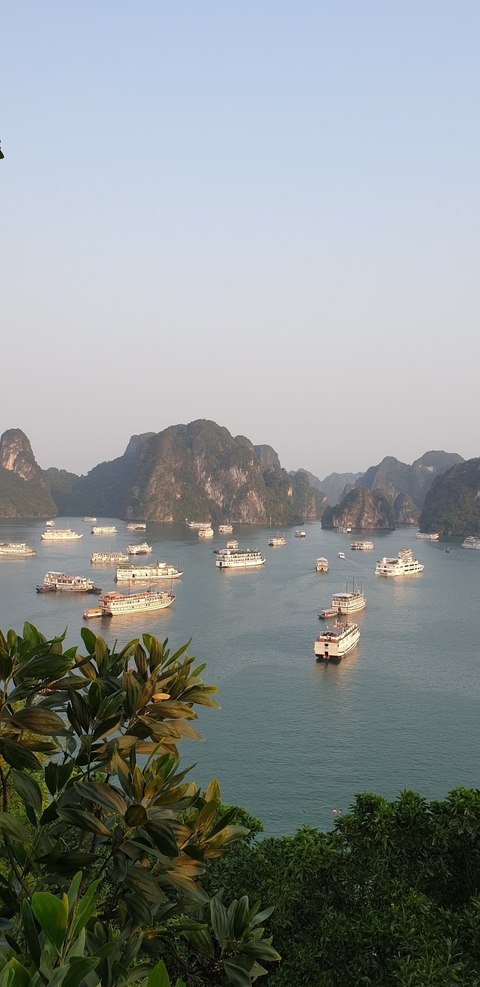       Numerous boats sailing in a bay surrounded by limestone islands.
  