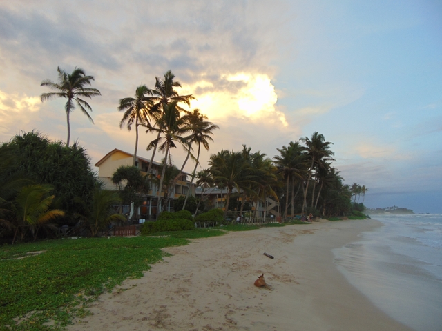 A sandy beach with palm trees at sunrise or sunset.