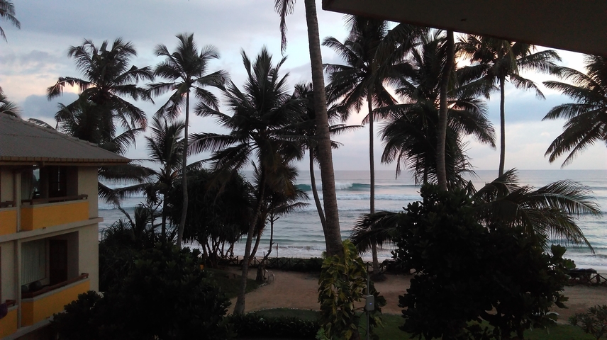 Beach view with palm trees and an adjacent building.