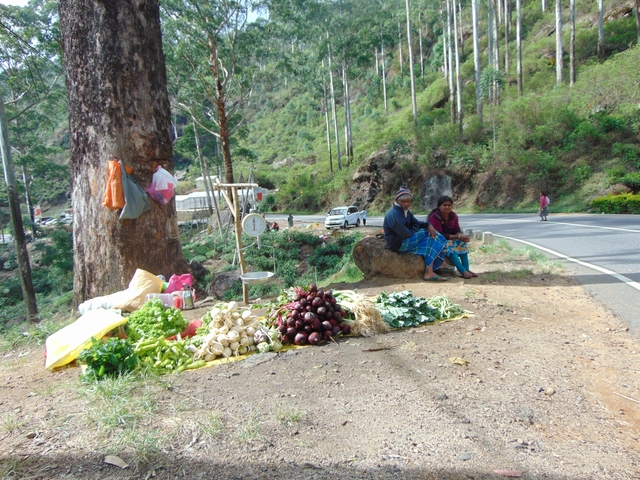 People selling vegetables by the roadside.