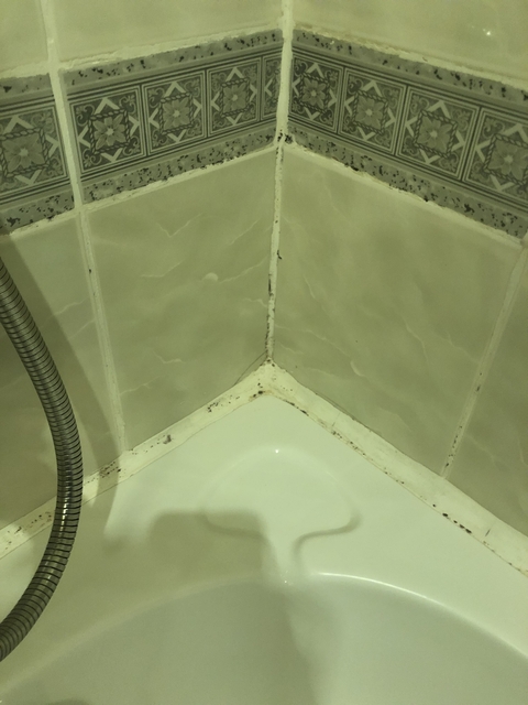 Mold and mildew in the corner of a bathroom.