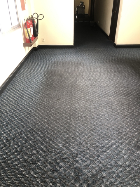       Carpet with noticeable dirty spots.
  