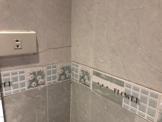 Bathroom wall with cracked tiles and floral design.