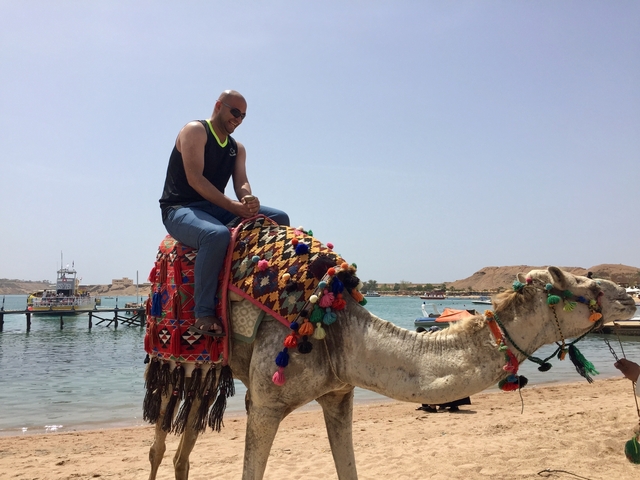 A man riding a camel near a body of water with some boats.