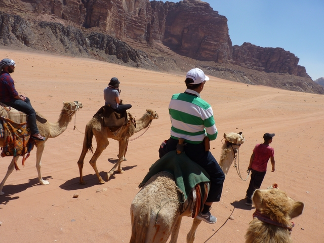       Tourists riding camels in a desert landscape.
  