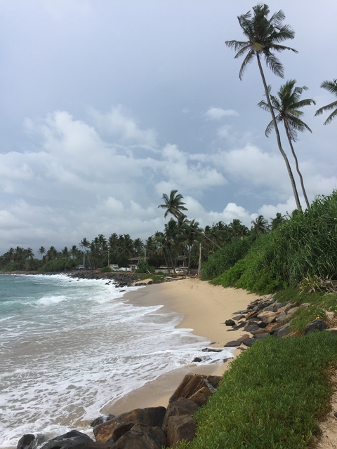 A pristine beach with palm trees and clear skies.