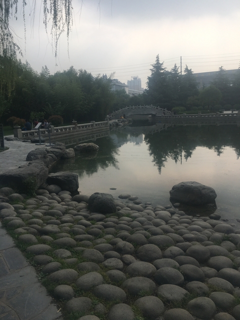       Calm pond with a small bridge and people sitting nearby.
  