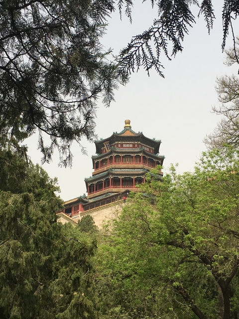       Traditional Chinese-style pagoda among trees.
  