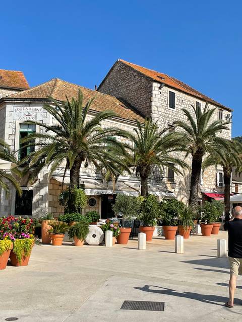       Palm trees in front of a stone building.
  