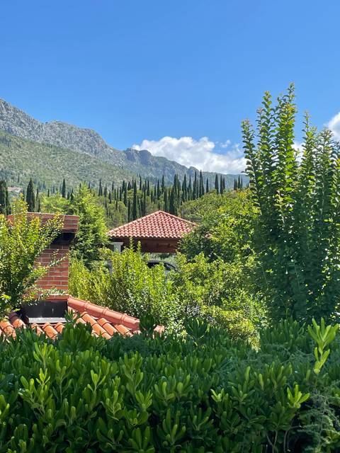       Greenery and rooftops with mountains in the background.
  