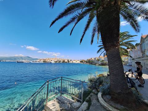       A coastal town view with palm trees lining the waterfront.
  
