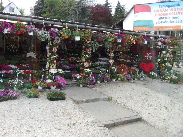 A flower shop filled with a variety of colorful plants outside.