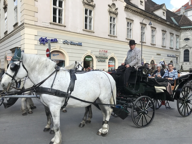       Horse-drawn carriage in a historic city square.
  