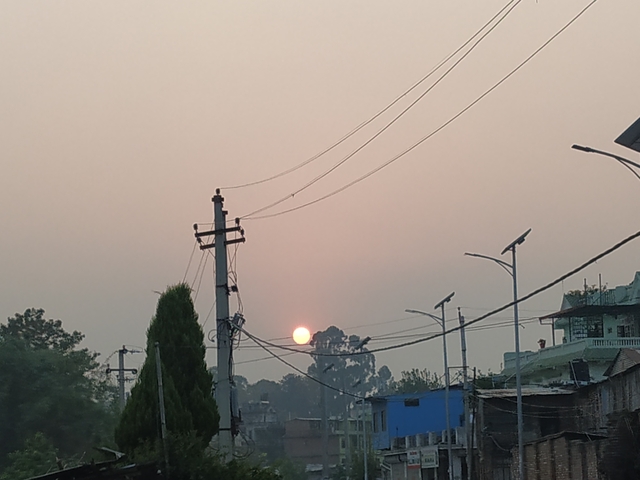 Scenic sunset view with power lines and trees.