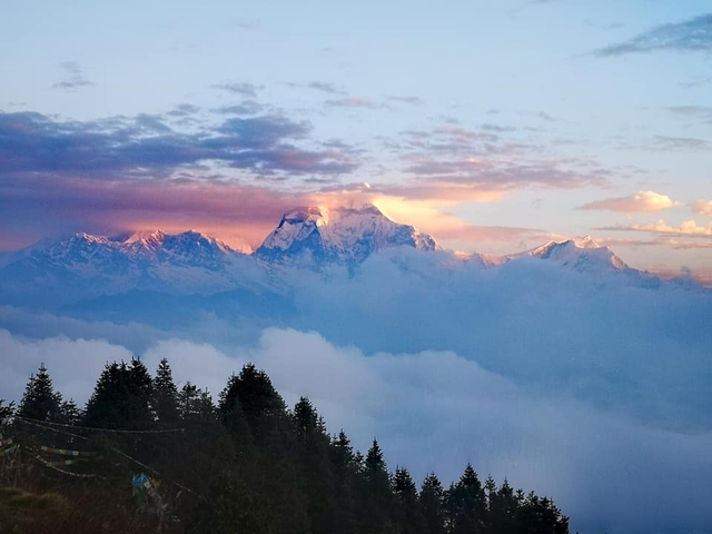 Annapurna Base Camp Trek via Poon Hill customer review photo 