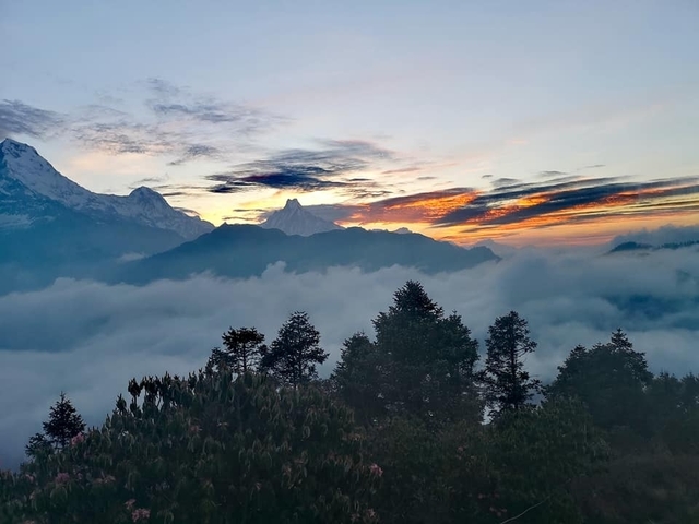Annapurna Base Camp Trek via Poon Hill customer review photo 