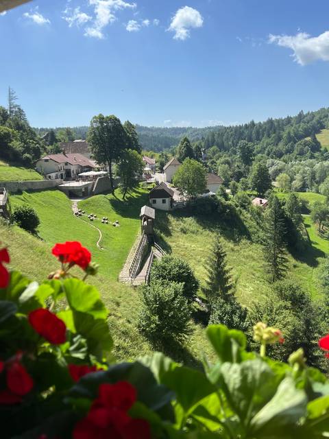       Aerial view of lush green landscape from a window with red flowers.
  