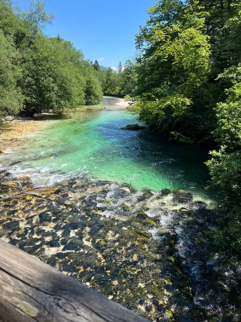 A stream with rocks and surrounding trees.