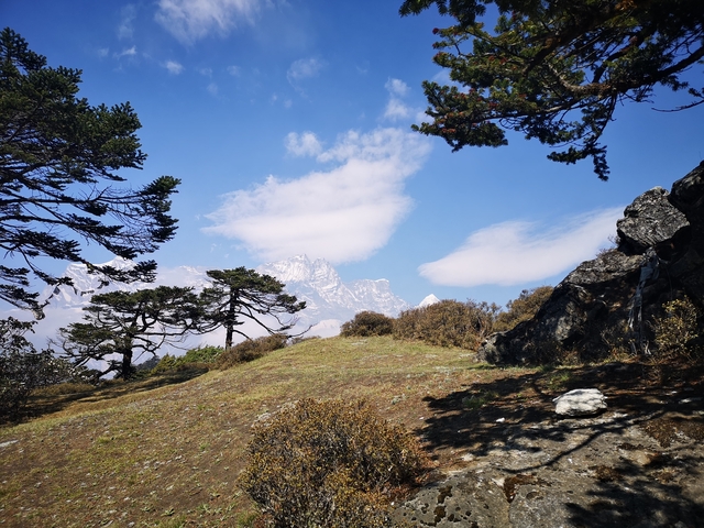 Mountain landscape with trees and a clear sky.