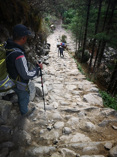People hiking on a rocky path in a forested area.