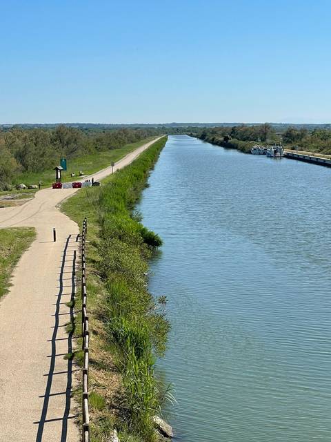       Path along a river with greenery and a clear blue sky.
  