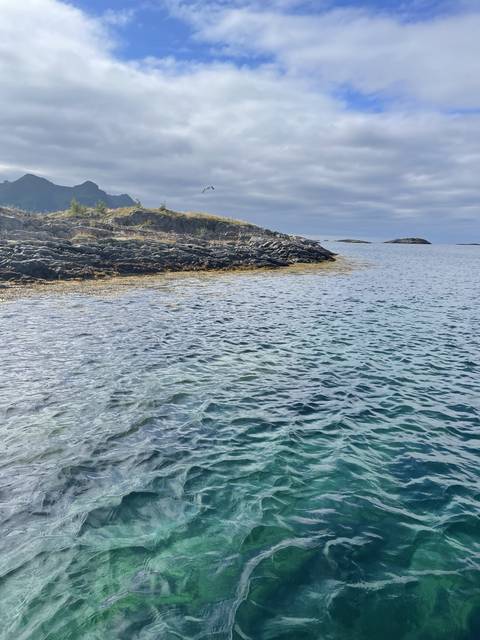 Seascape with clear turquoise water and a rocky shoreline.