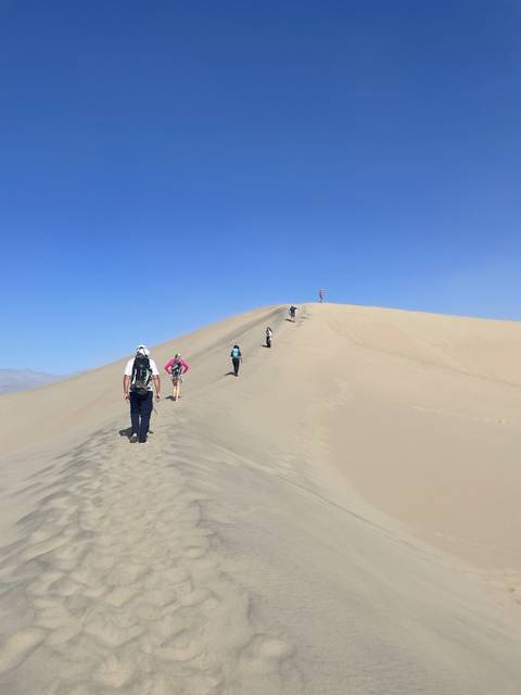 People walking along a sand dune slope.
