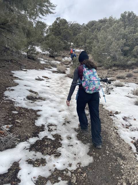       Snowy landscape with hikers on a trail.
  