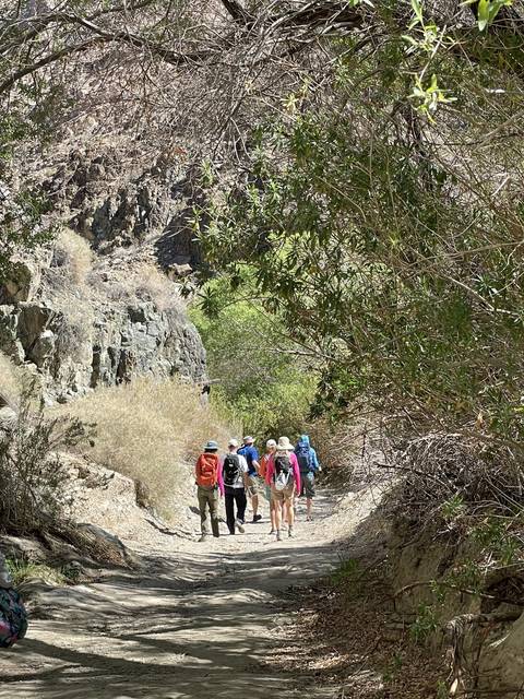       A group of hikers walking through a lush, shaded trail.
  