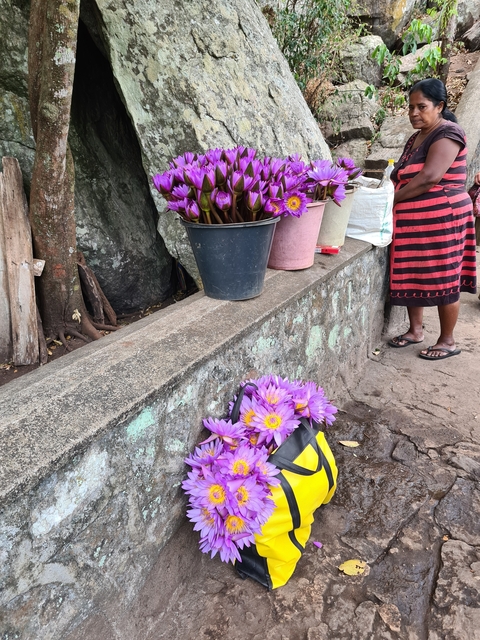       Display of colorful flowers in buckets.
  