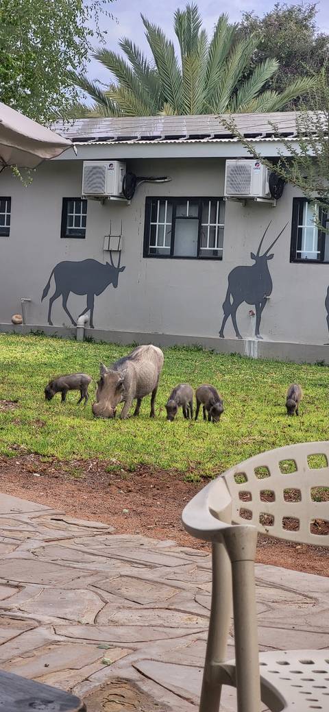       Warthog family grazing in front of a building with animal silhouettes.
  