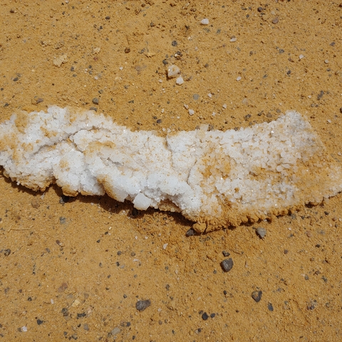       Salt formation on sandy ground.
  
