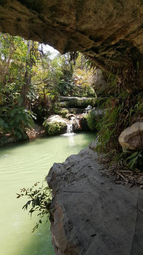       Pool with a gentle waterfall surrounded by rock walls and vegetation.
  