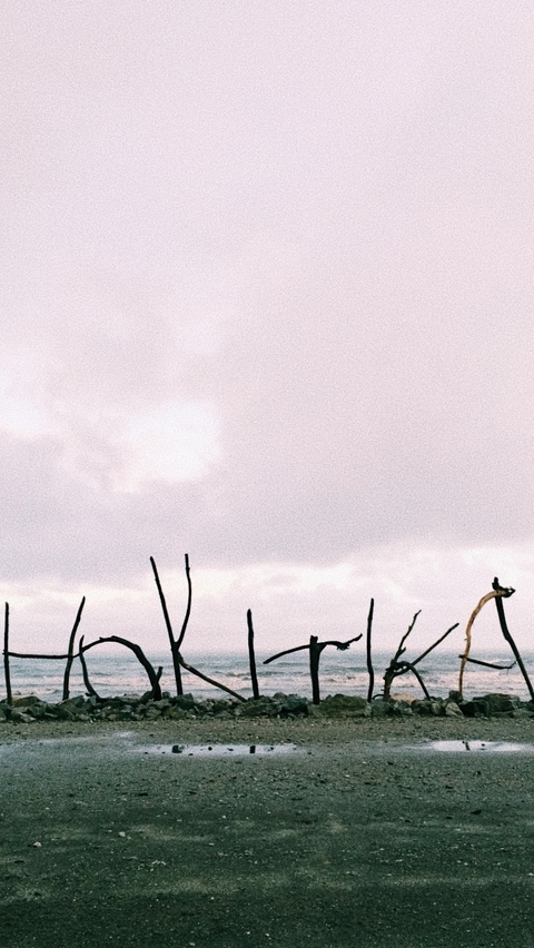 Klantbeoordelingsfoto van Zuidelijk circuit 