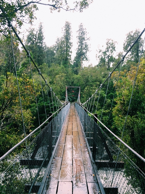 Suspension bridge over a forested area.